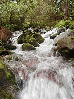 strömender Wasserfall